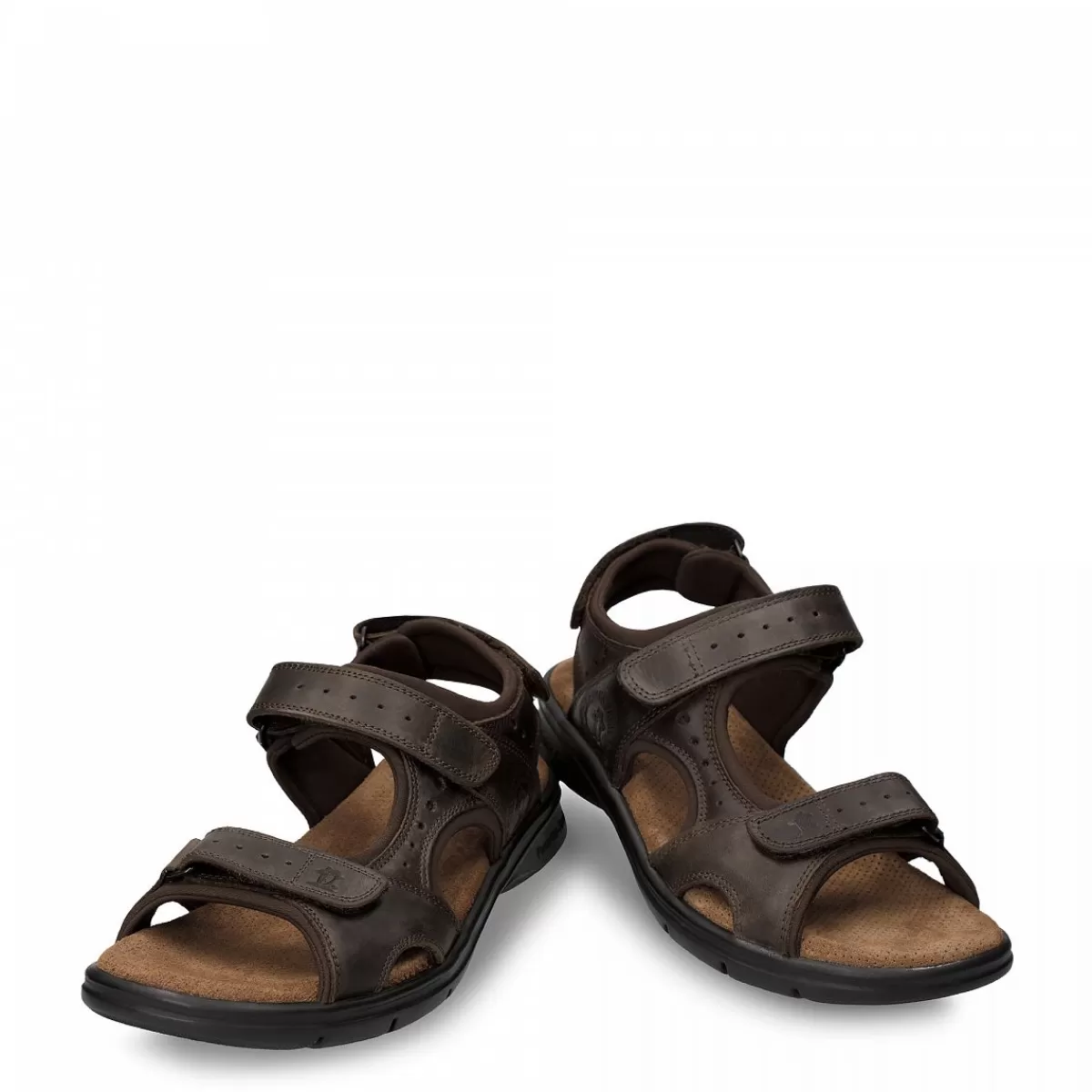 Herren Panama Jack Sandalen | Salton Basics