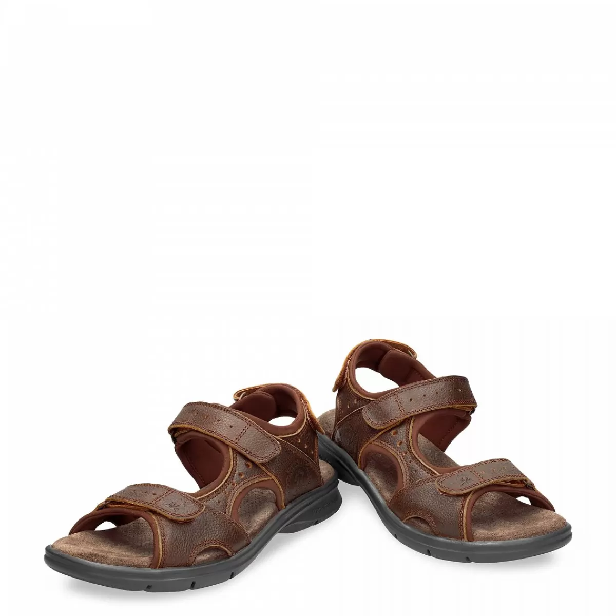 Herren Panama Jack Sandalen | Salton Basics