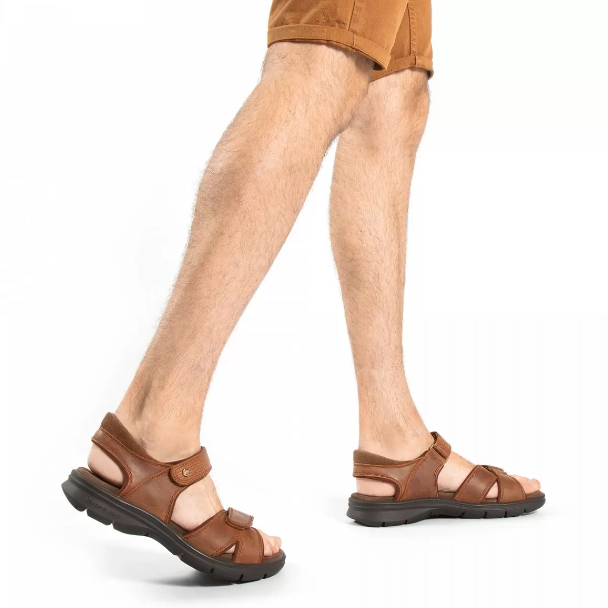 Herren Panama Jack Sandalen | Sanders Basics