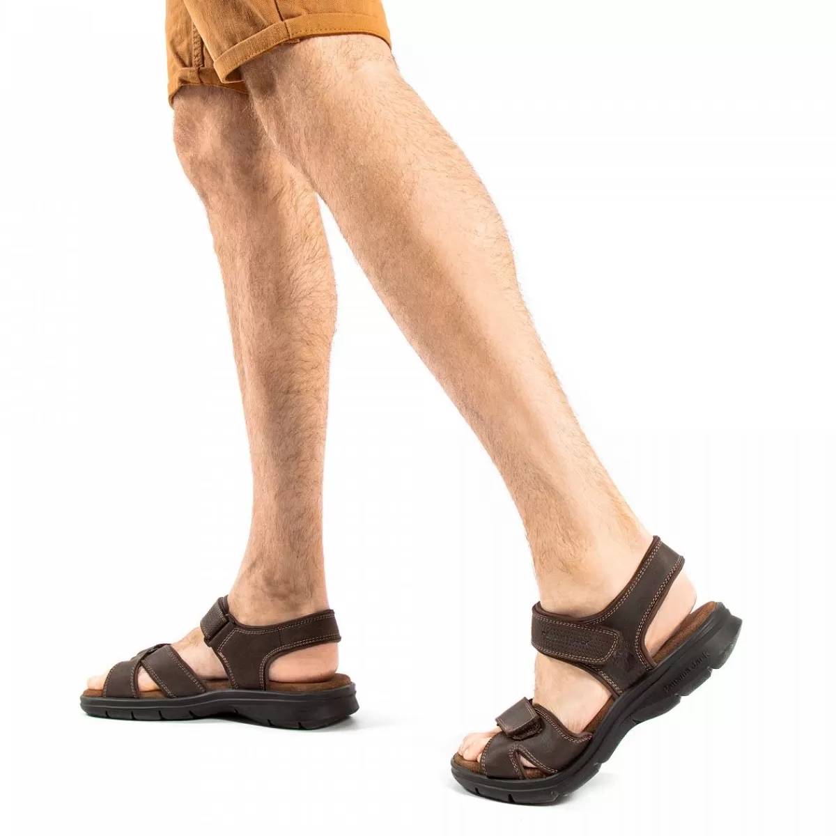 Herren Panama Jack Sandalen | Sanders Basics